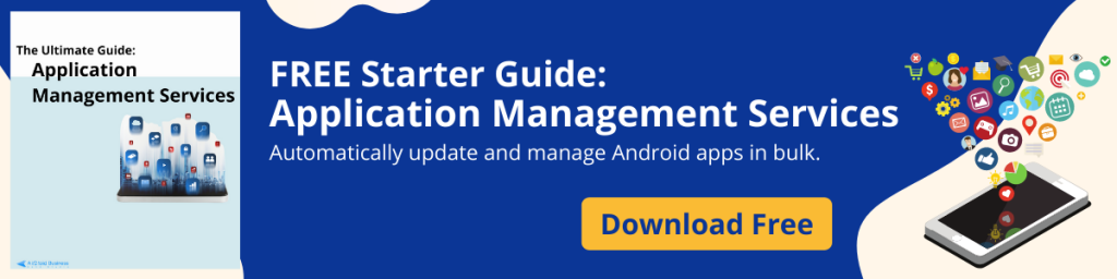 Free Starter Guide: Application Management Services